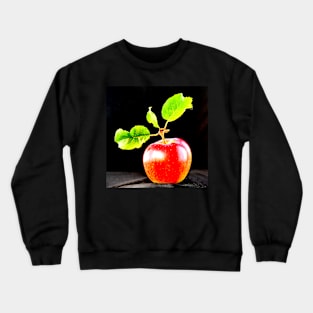 Single Apple Crewneck Sweatshirt